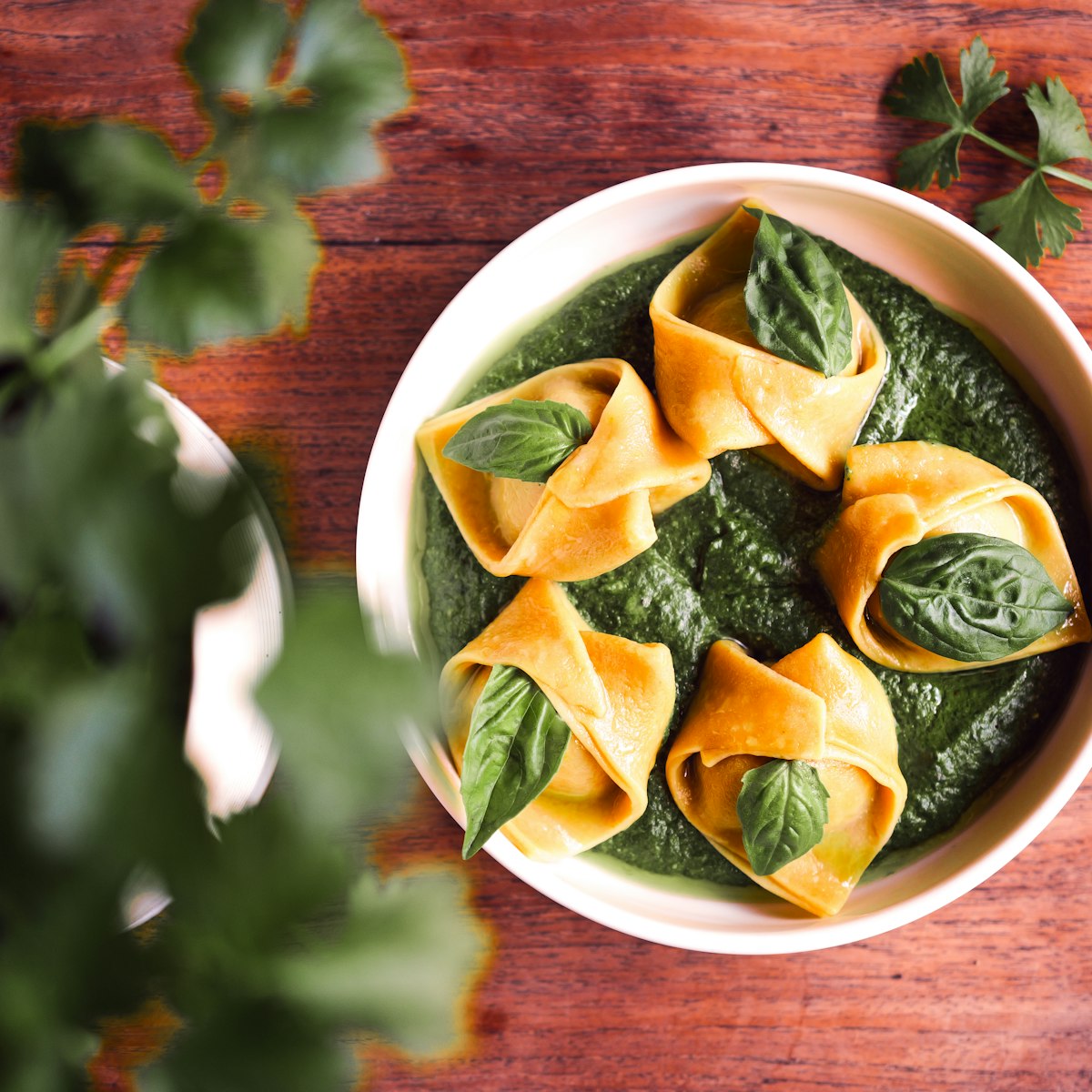 Tortellini in a vivid basil pesto sauce topped with fresh basil leaves